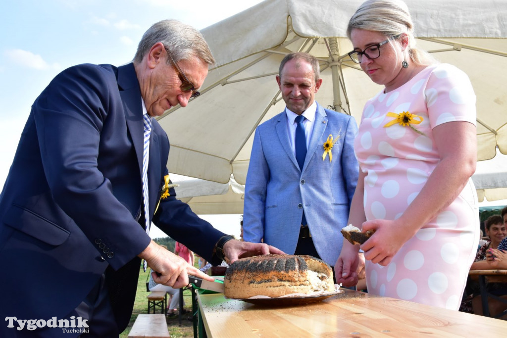Dożynki gminne w Trutnowie