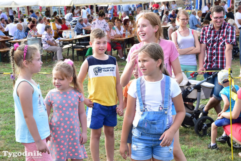 Dożynki gminne w Trutnowie