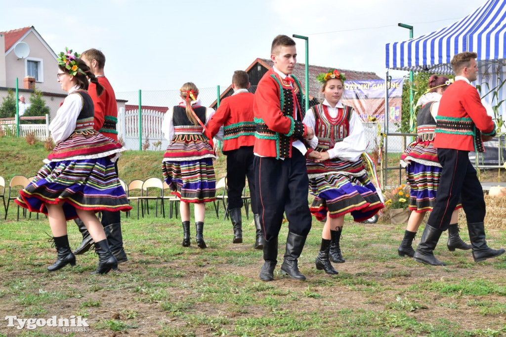 Dożynki gminne w Trutnowie
