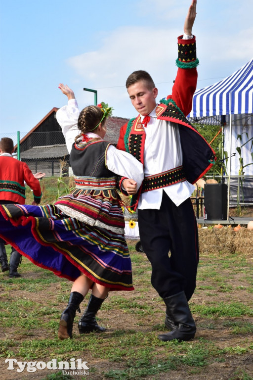 Dożynki gminne w Trutnowie