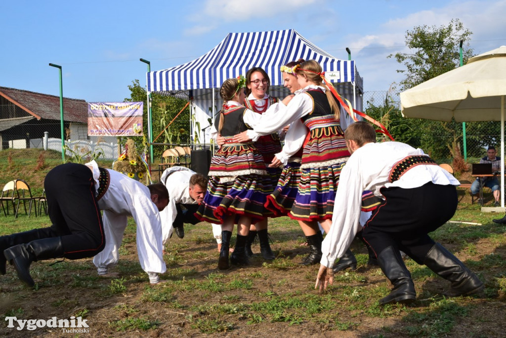 Dożynki gminne w Trutnowie