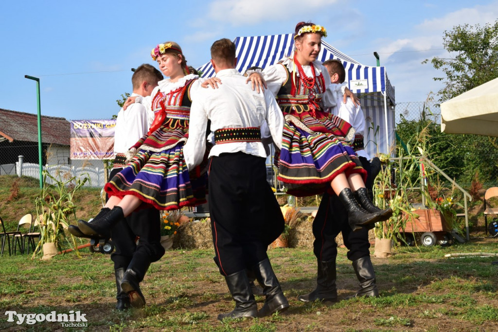 Dożynki gminne w Trutnowie
