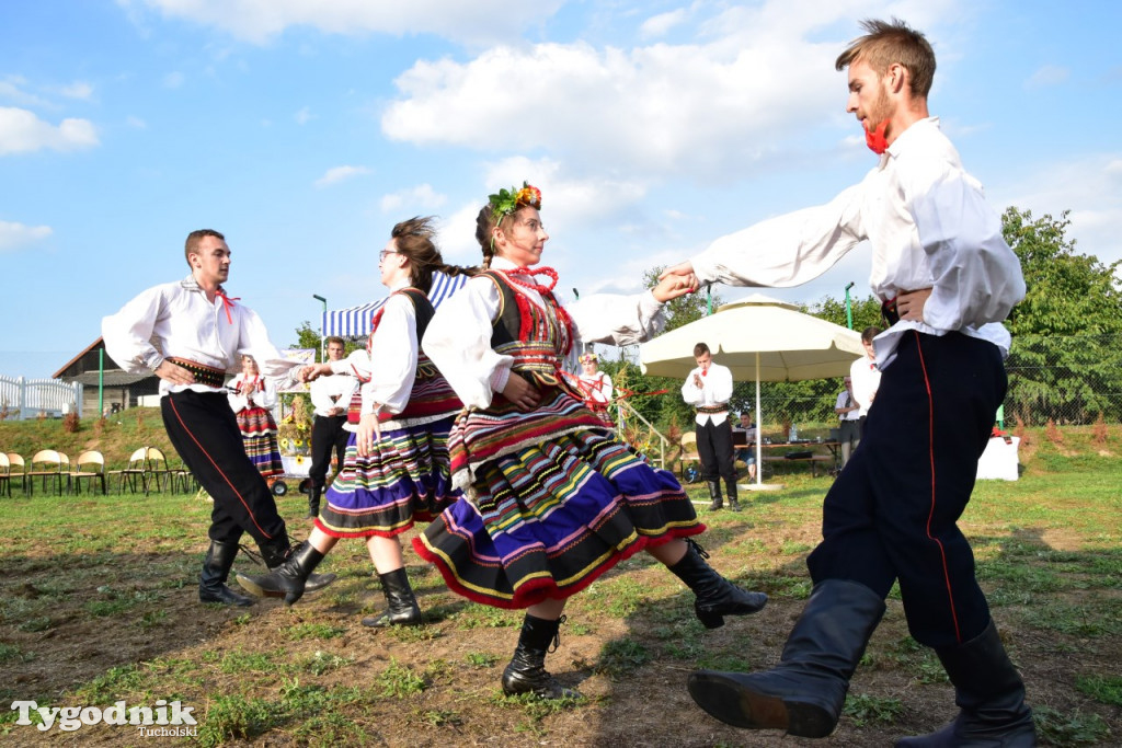 Dożynki gminne w Trutnowie