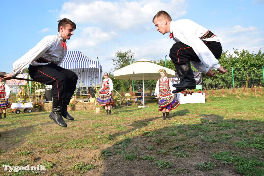 Dożynki gminne w Trutnowie
