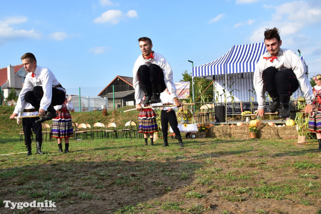 Dożynki gminne w Trutnowie