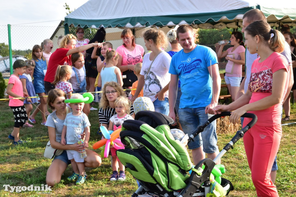 Dożynki gminne w Trutnowie