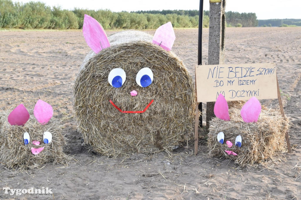 Dożynki gminne w Trutnowie