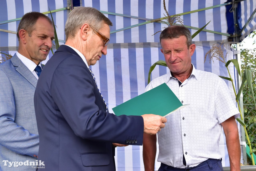 Estetyczna posesja