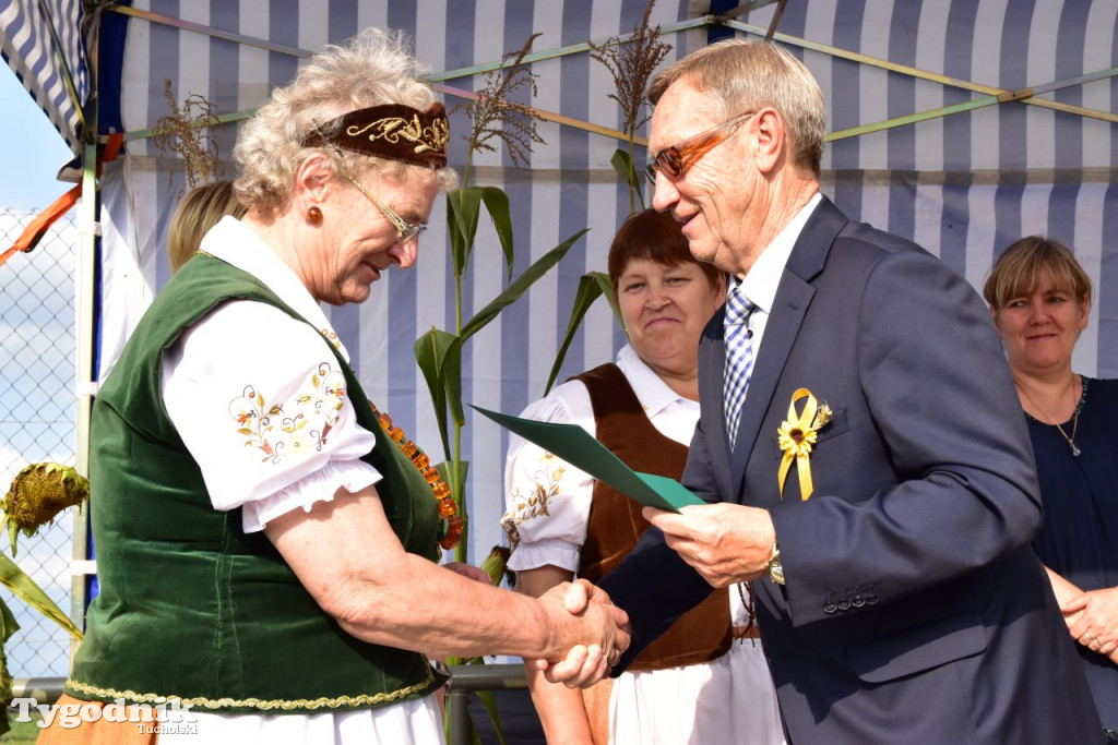 Estetyczna posesja