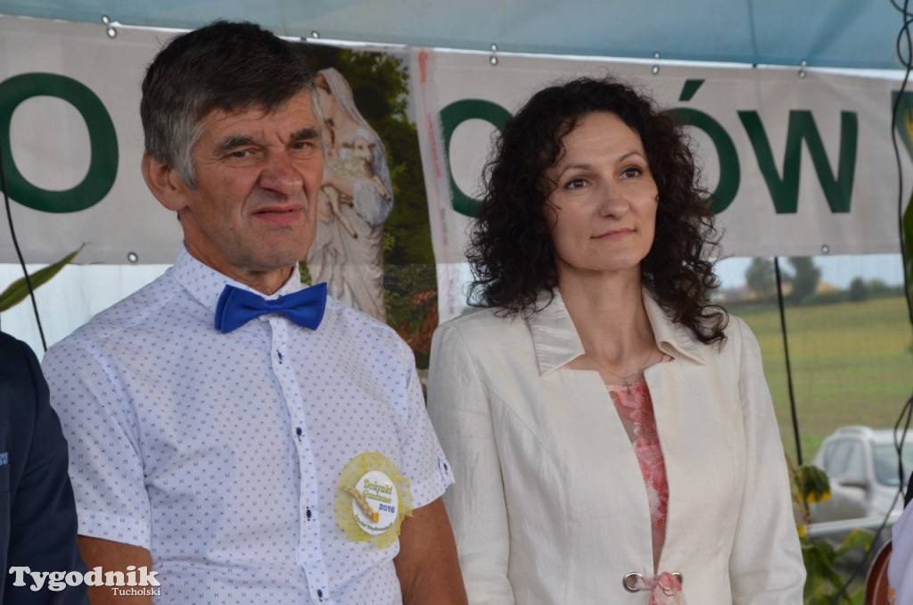 Dożynki gminne Wielki Mędromierz