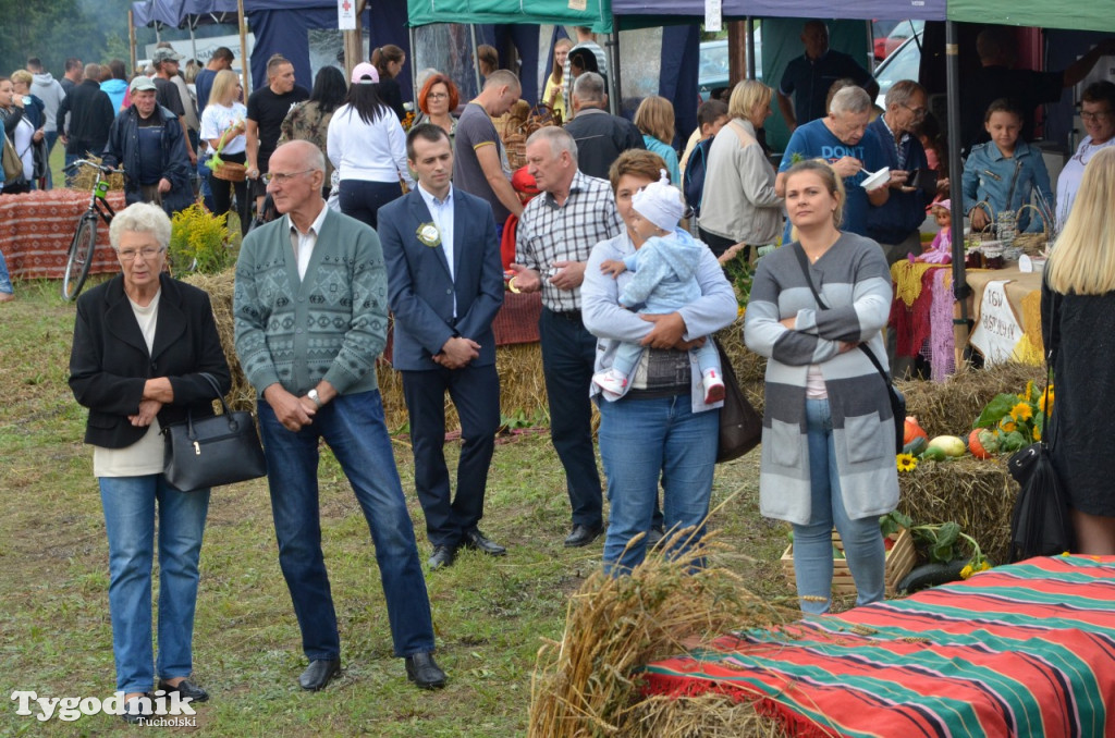 Dożynki gminne Wielki Mędromierz