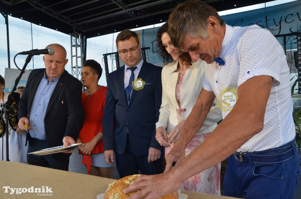 Dożynki gminne Wielki Mędromierz
