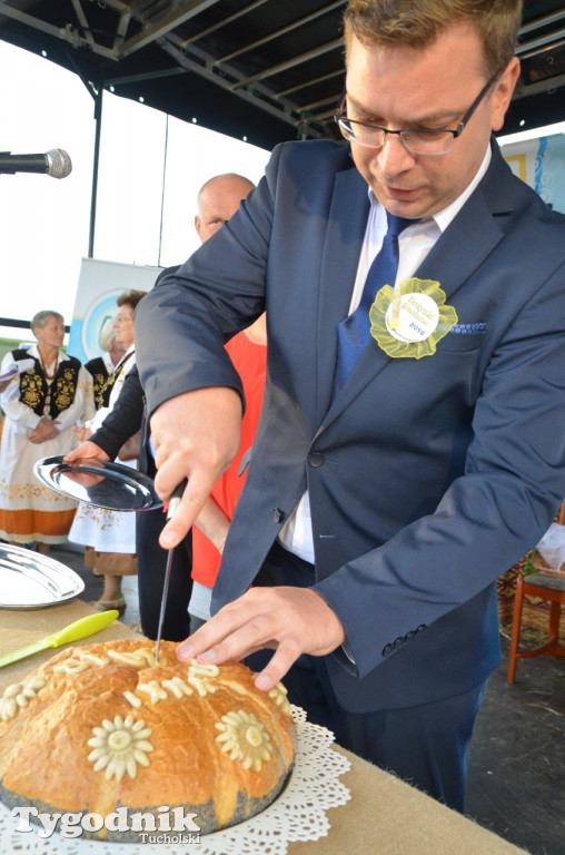 Dożynki gminne Wielki Mędromierz