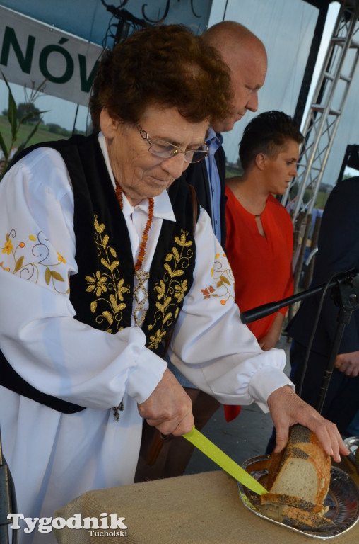 Dożynki gminne Wielki Mędromierz