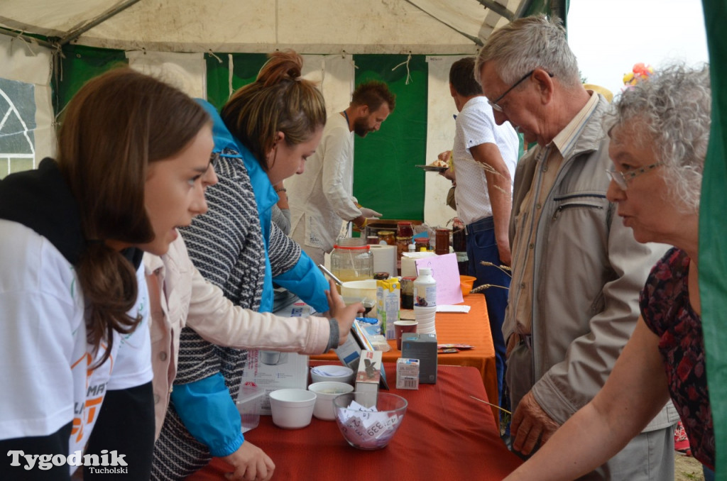 Dożynki gminne Wielki Mędromierz