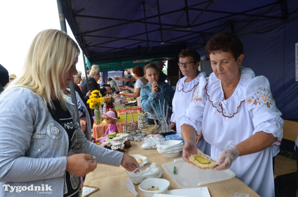 Dożynki gminne Wielki Mędromierz