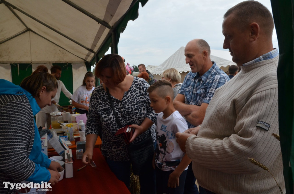 Dożynki gminne Wielki Mędromierz
