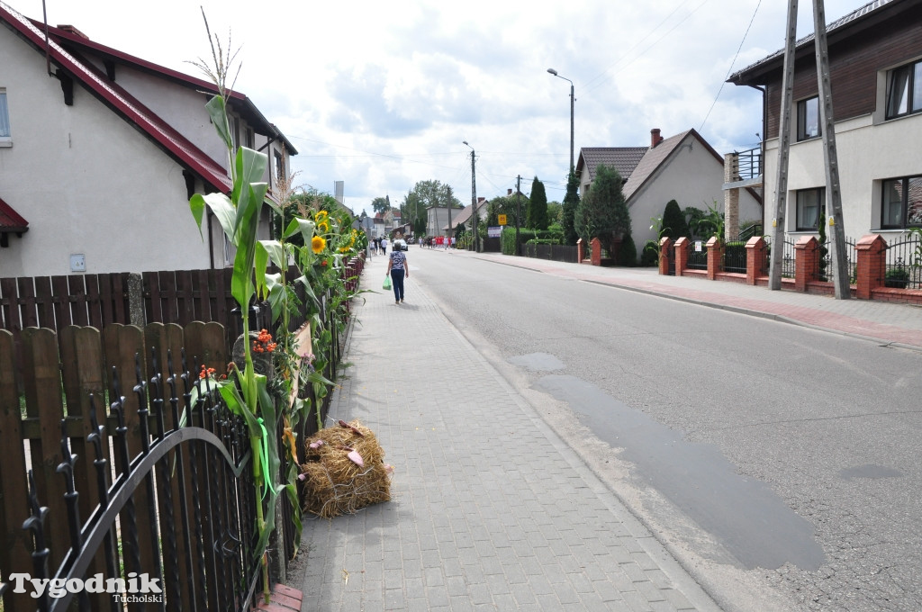 Dożynki powiatowe w Śliwicach