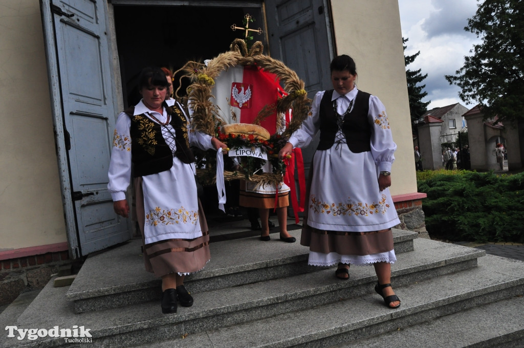 Dożynki powiatowe w Śliwicach