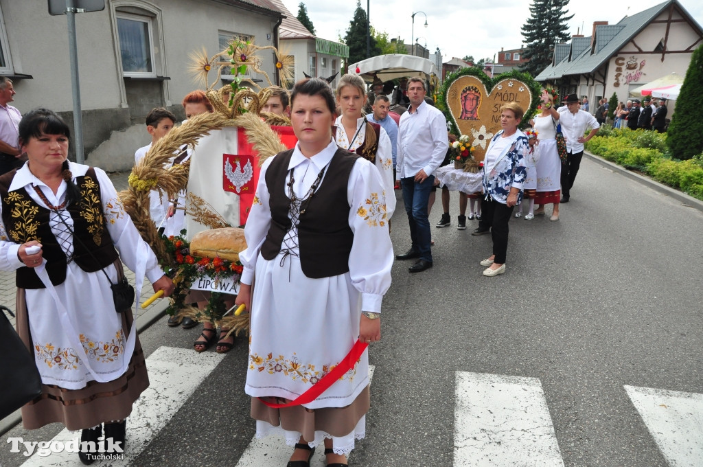 Dożynki powiatowe w Śliwicach