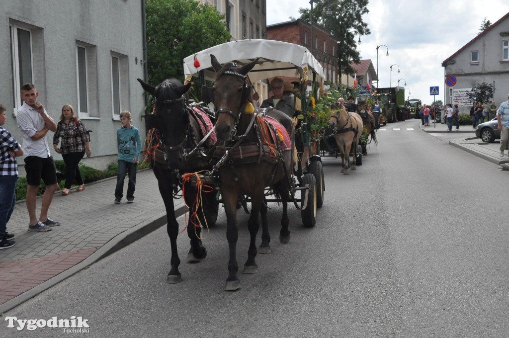 Dożynki powiatowe w Śliwicach