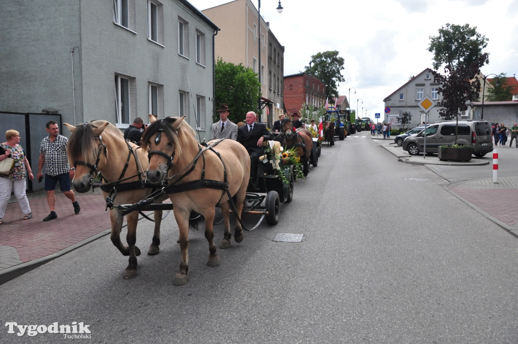 Dożynki powiatowe w Śliwicach