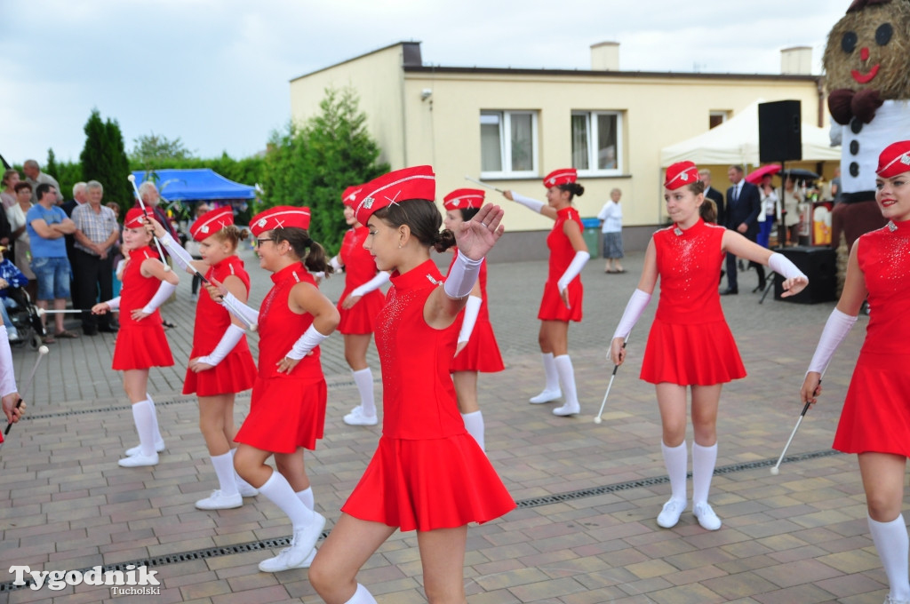 Dożynki powiatowe w Śliwicach