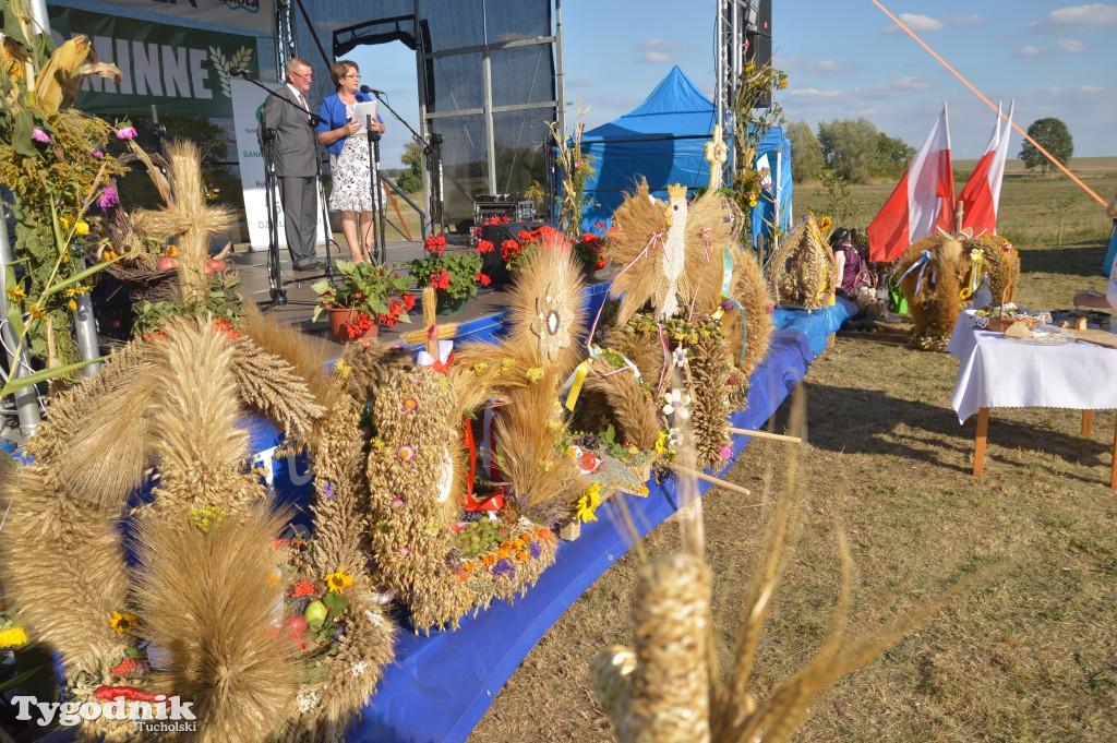 Dożynki gminne w Białowieży