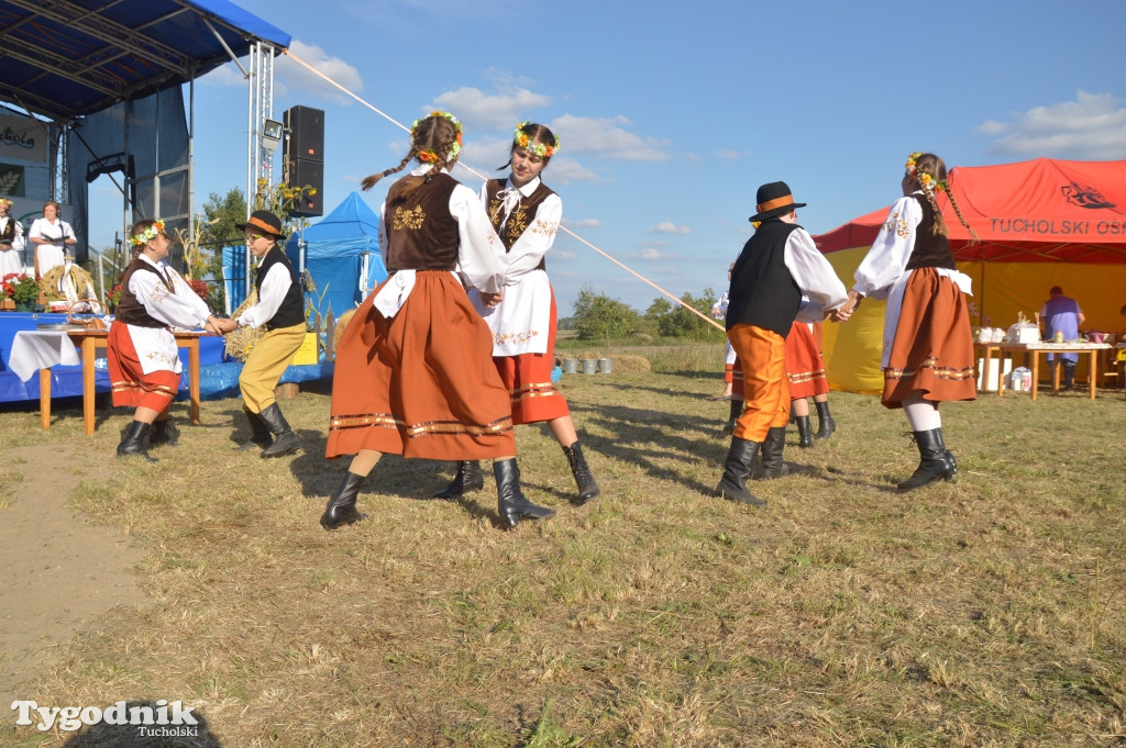 Dożynki gminne w Białowieży