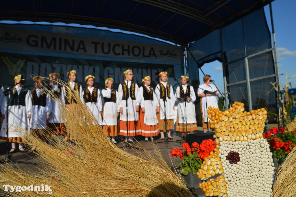 Dożynki gminne w Białowieży