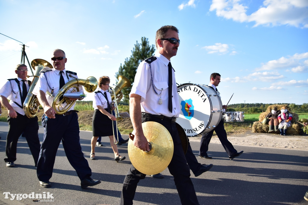 Dożynki gminne w Iwcu