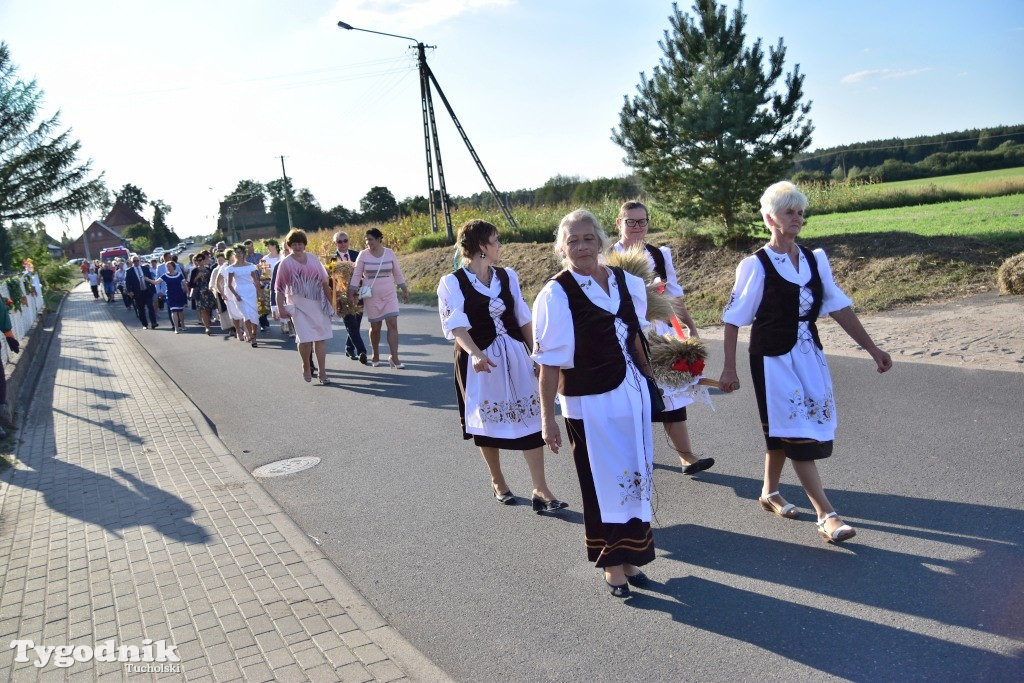 Dożynki gminne w Iwcu