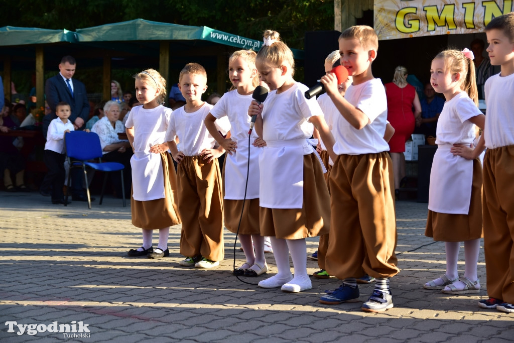 Dożynki gminne w Iwcu