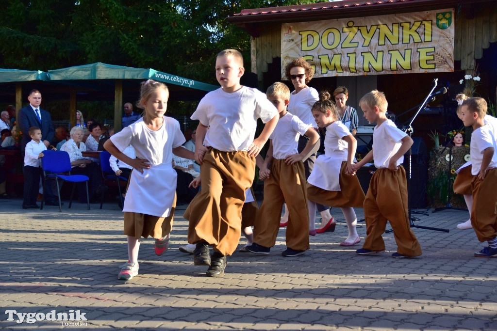 Dożynki gminne w Iwcu