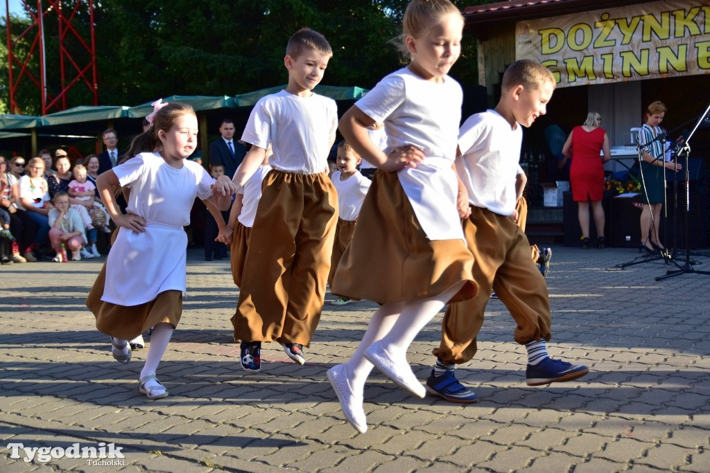 Dożynki gminne w Iwcu