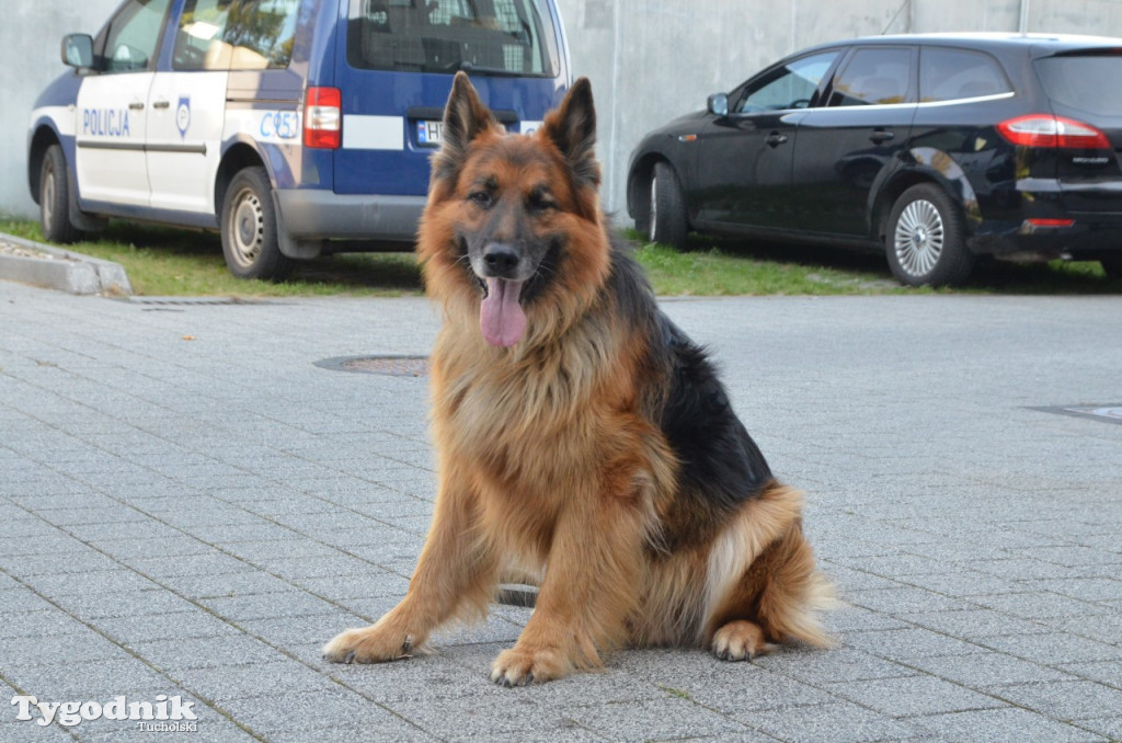 Aro i Tomasz Kozielecki