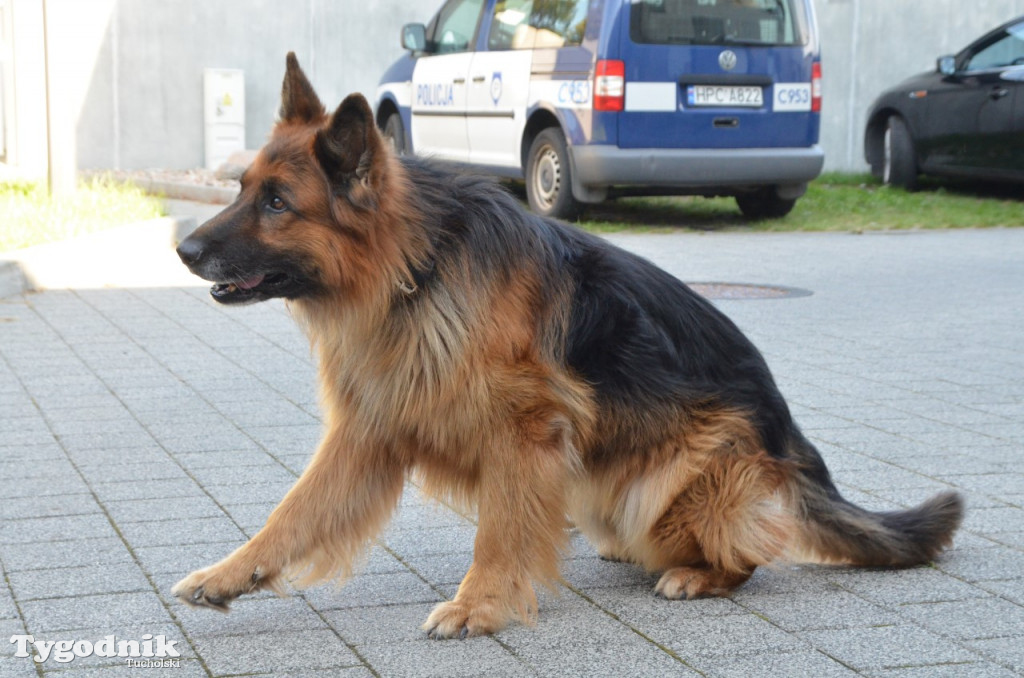 Aro i Tomasz Kozielecki