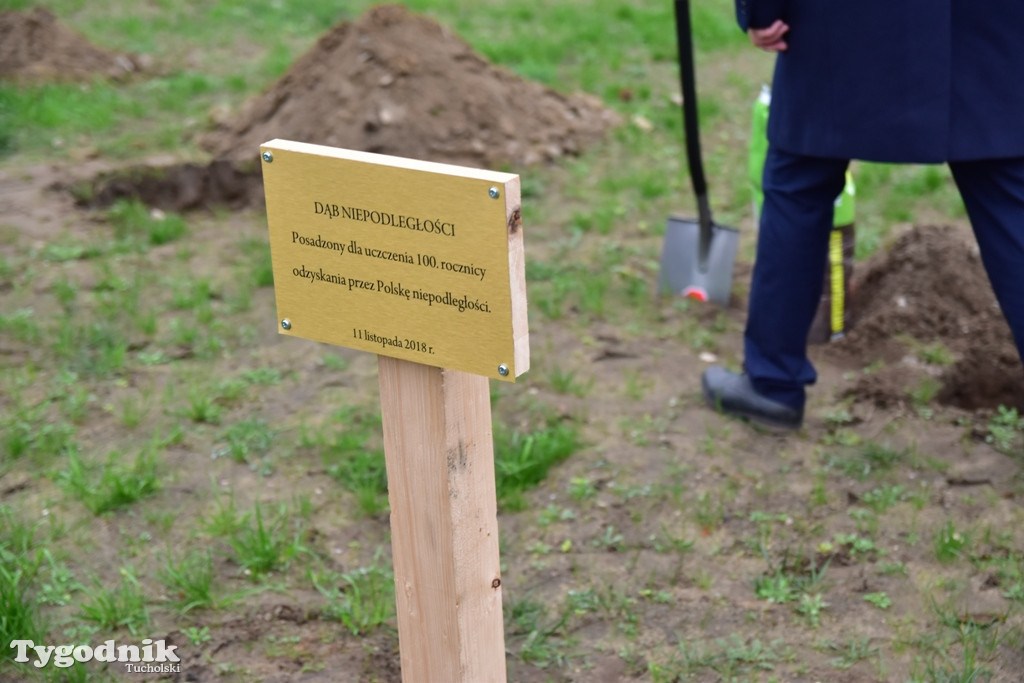 Tak swiętowano 11 listopada w Cekcynie