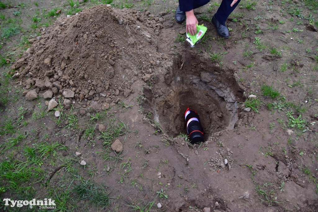Tak swiętowano 11 listopada w Cekcynie