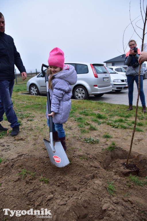 Tak swiętowano 11 listopada w Cekcynie
