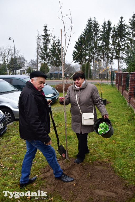 Tak swiętowano 11 listopada w Cekcynie