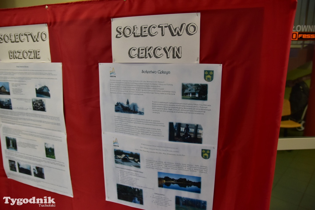 Tak swiętowano 11 listopada w Cekcynie