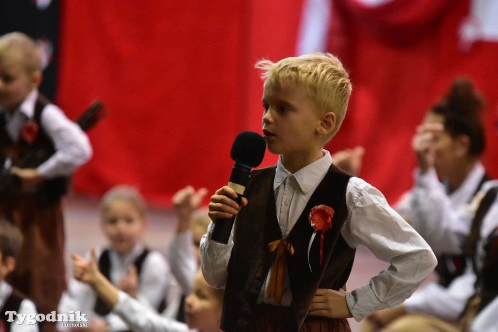 Tak swiętowano 11 listopada w Cekcynie