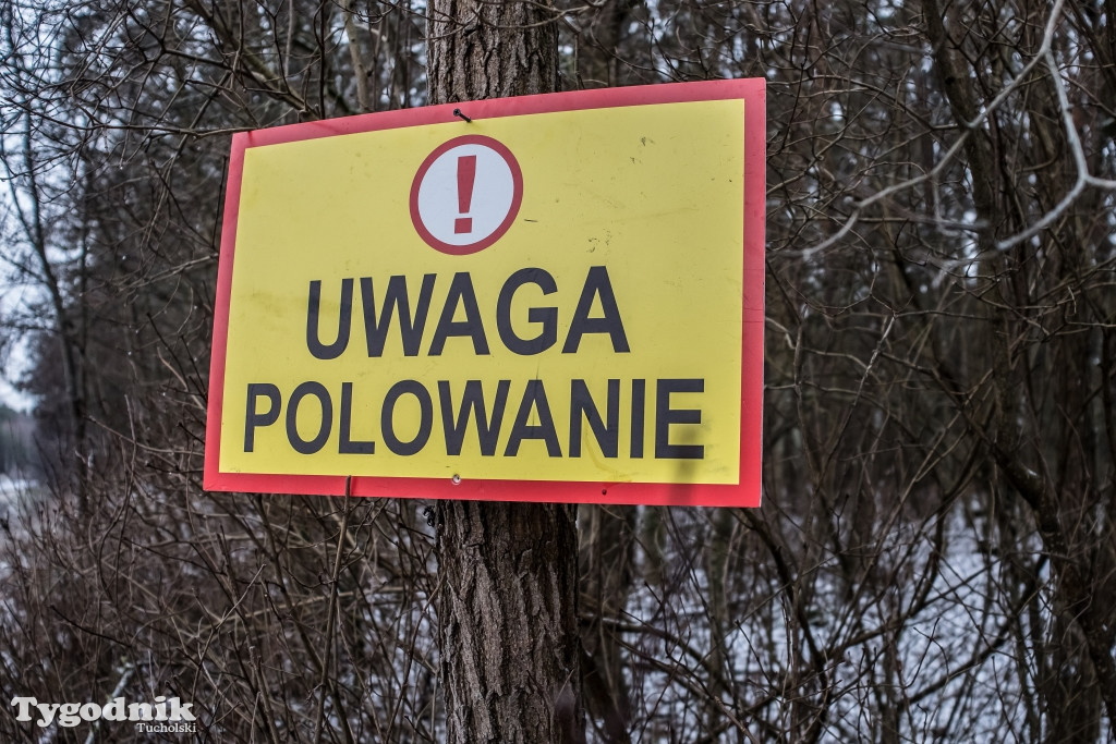 Polowanie w okolicach Nowego Sumina