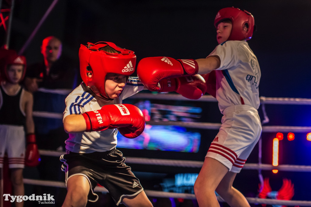 IV Tucholski Boxing Show