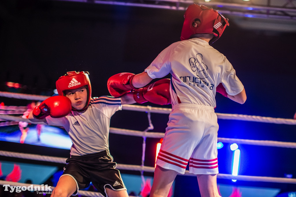 IV Tucholski Boxing Show