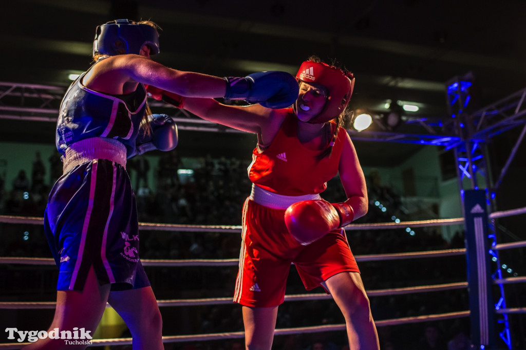 IV Tucholski Boxing Show