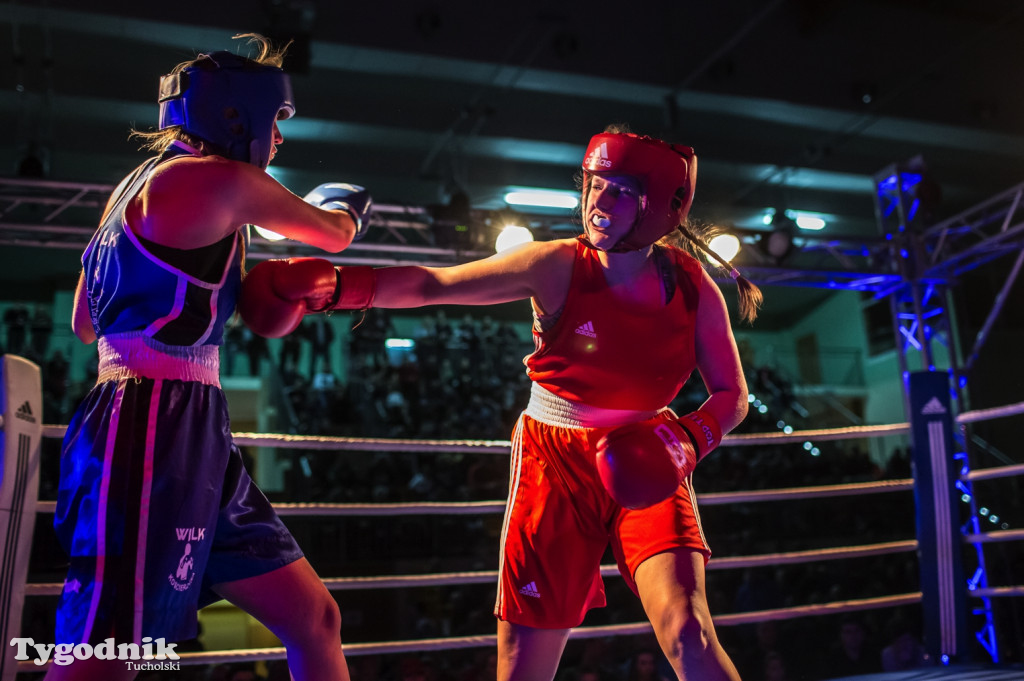 IV Tucholski Boxing Show