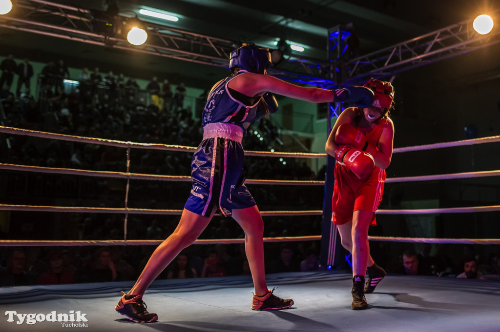 IV Tucholski Boxing Show