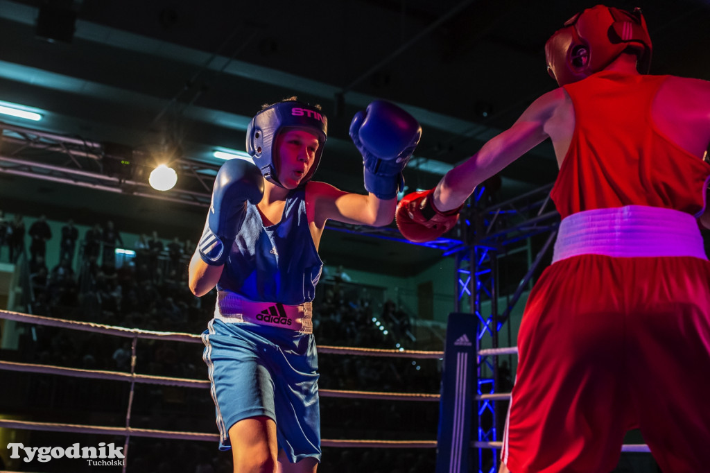 IV Tucholski Boxing Show